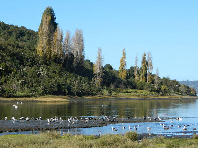 #18 - Hacienda para Venta en Ancud - X